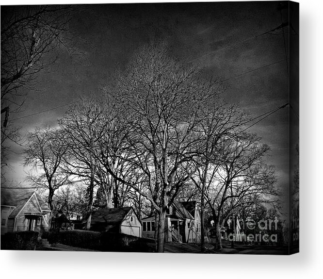 Midwest Acrylic Print featuring the photograph Breathe .... by Frank J Casella