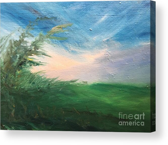 North Wind Acrylic Print featuring the painting Breeze by Trilby Cole