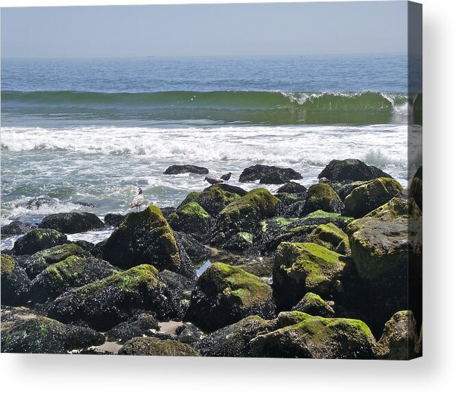 May Light Acrylic Print featuring the photograph Bright Light of May by Ellen Paull