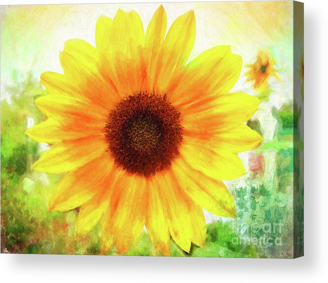 Sunflower Acrylic Print featuring the photograph Bright Yellow Sunflower - Painted Summer Sunshine by Anita Pollak