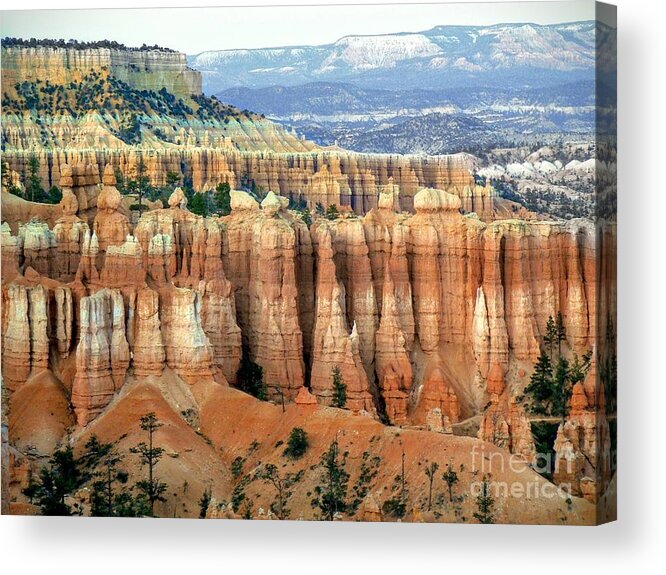 Bryce Canyon Acrylic Print featuring the photograph Bryce Canyon Vertical Hoodoos by Rincon Road Photography