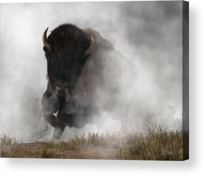 Buffalo Emerging From The Fog Acrylic Print featuring the digital art Buffalo Emerging From The Fog by Daniel Eskridge
