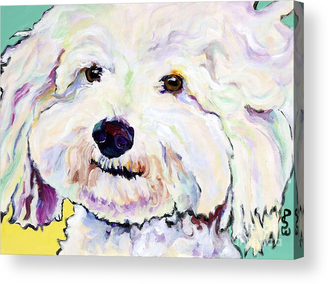 Bischon Acrylic Print featuring the painting Buttons  by Pat Saunders-White