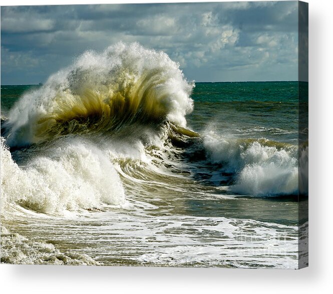 Shore Acrylic Print featuring the photograph Cabrillo Shorebreak by Michael Cinnamond