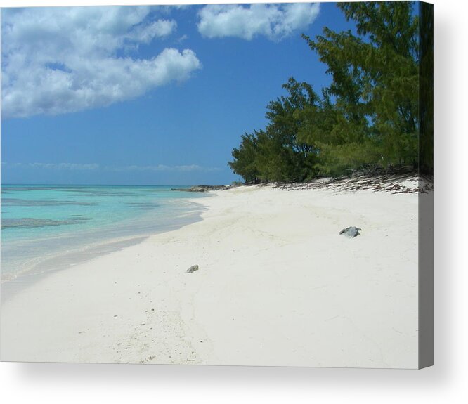 Beach Acrylic Print featuring the photograph Caicos by Jean Wolfrum