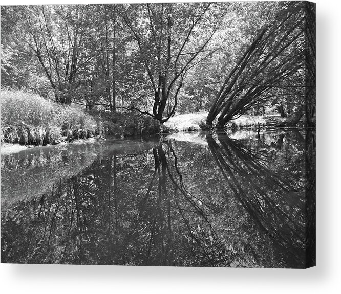 Nature Acrylic Print featuring the photograph Canton Canoe Trip 2016 34 by George Ramos