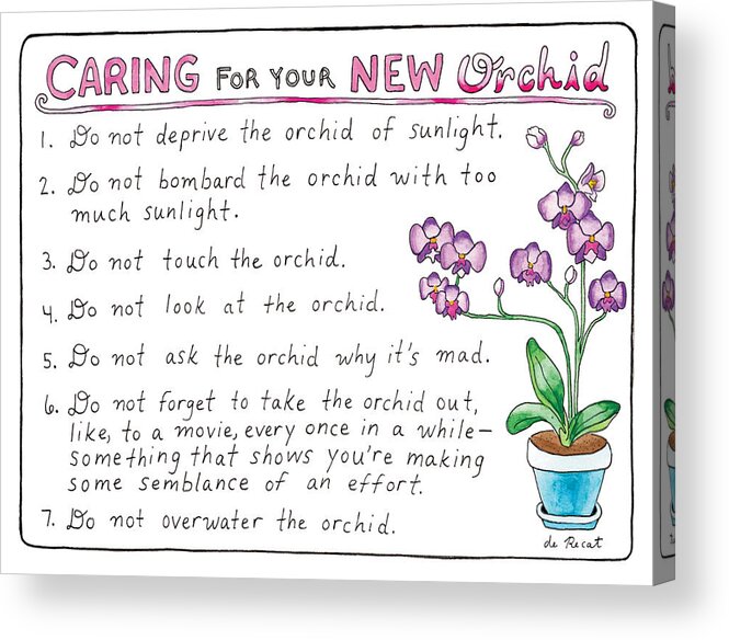 Caring For Your New Orchid Acrylic Print featuring the drawing Caring For Your New Orchid by Olivia de Recat