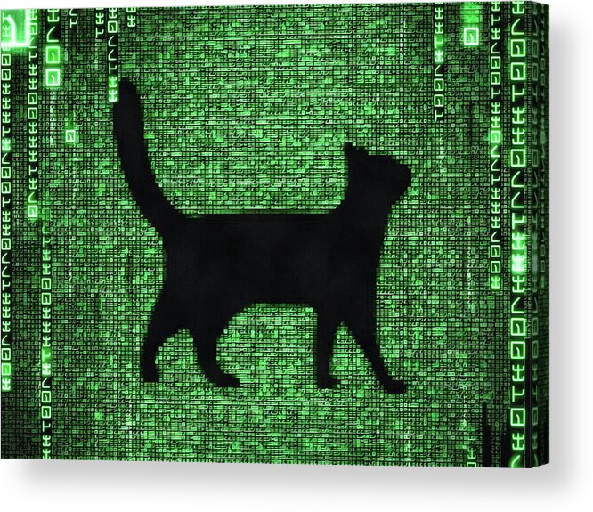 Cat Acrylic Print featuring the digital art Cat in the Matrix black and green by Matthias Hauser