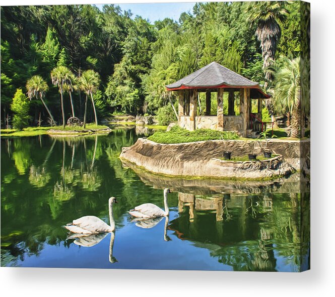 Gardens Acrylic Print featuring the photograph Cedar Lake and Swans by Betty Eich