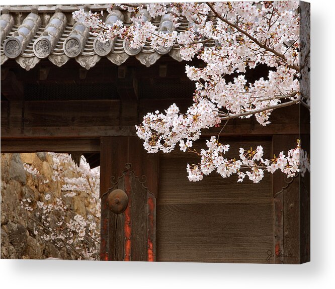 Cherry Blossoms Acrylic Print featuring the photograph Cherry Blossoms by Joe Bonita