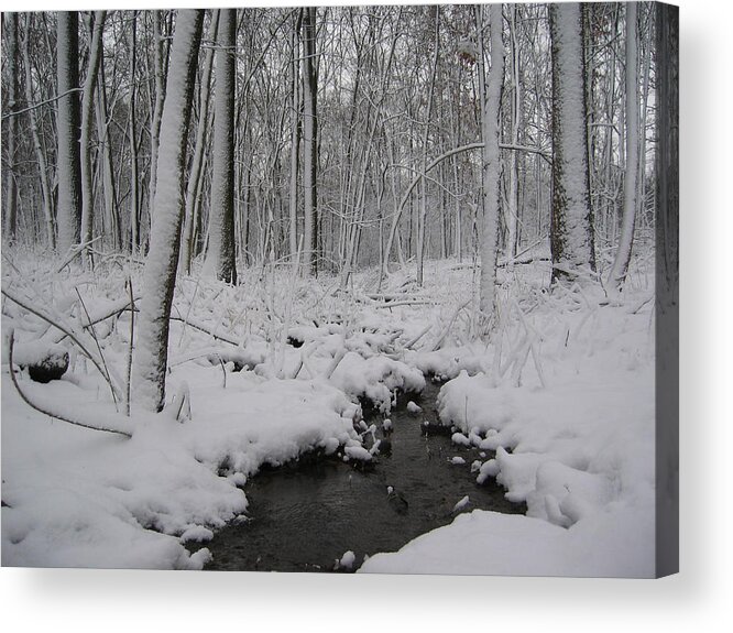 Winter Acrylic Print featuring the photograph Chilly Creek by Dylan Punke