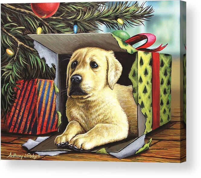 Yellow Lab Acrylic Print featuring the painting Christmas Pup by Anthony J Padgett