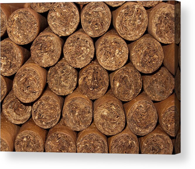 Cigars Acrylic Print featuring the photograph Cigars 262 by Michael Fryd