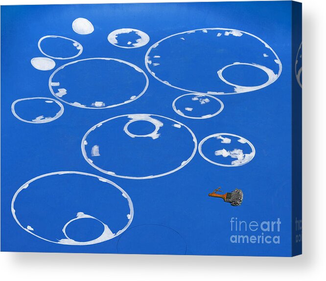 Bradley Acrylic Print featuring the photograph Circles and a Brush by Rich Despins