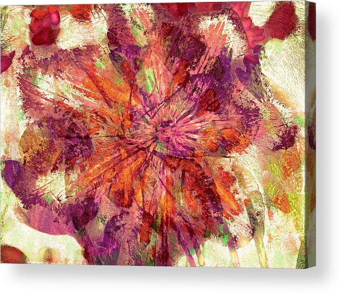 Clematis Acrylic Print featuring the photograph Clematis Absentia 21 by Lynda Lehmann