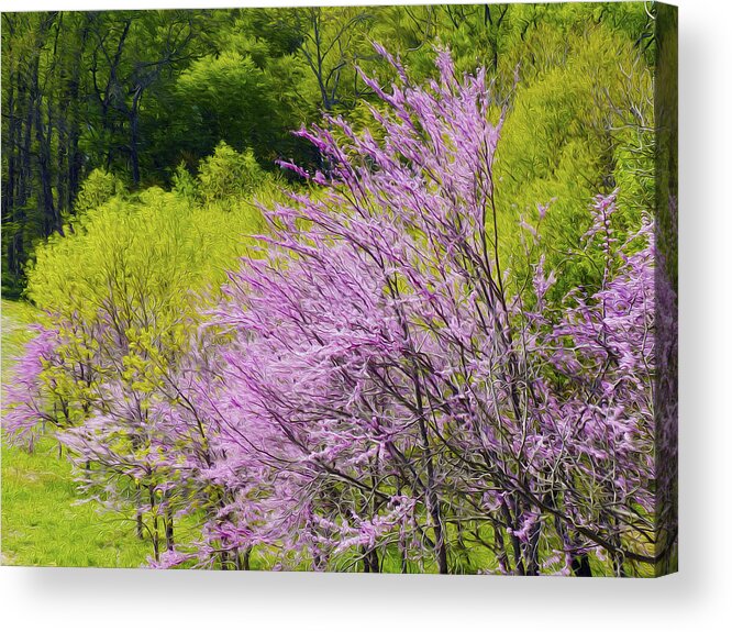 Landscape Acrylic Print featuring the photograph Colors of spring by Paul Ross
