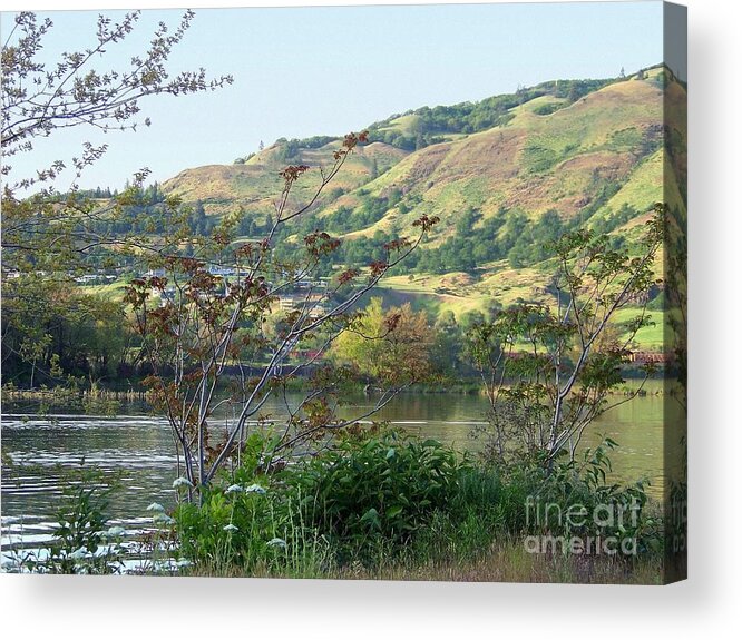Columbia River Acrylic Print featuring the photograph Columbia Riverbank by Charles Robinson