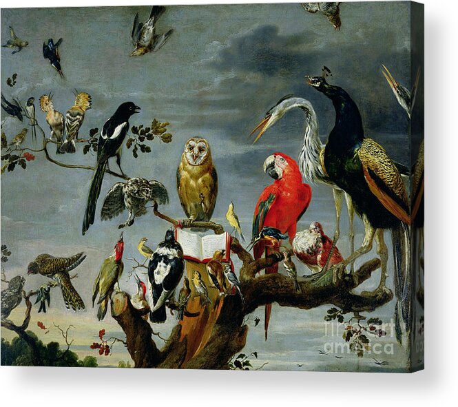 Concert Acrylic Print featuring the painting Concert of Birds by Frans Snijders