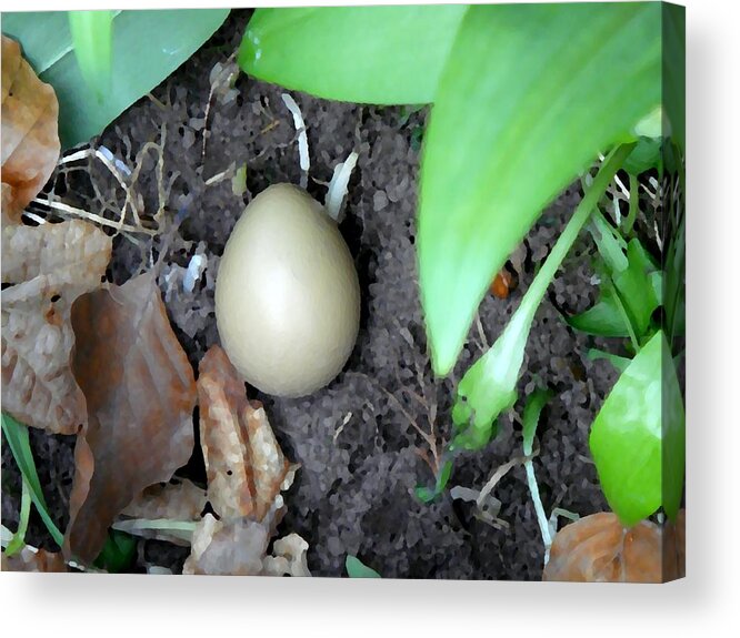 Egg Acrylic Print featuring the photograph Continuity by Roberto Alamino