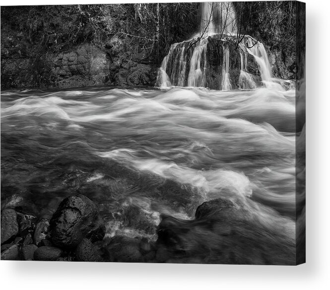 Photography Acrylic Print featuring the photograph Convergence BW by Steven Clark