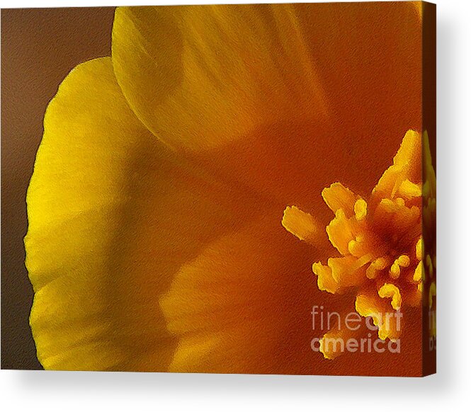 Poppy Acrylic Print featuring the photograph Copa de Oro - subdued by Linda Shafer