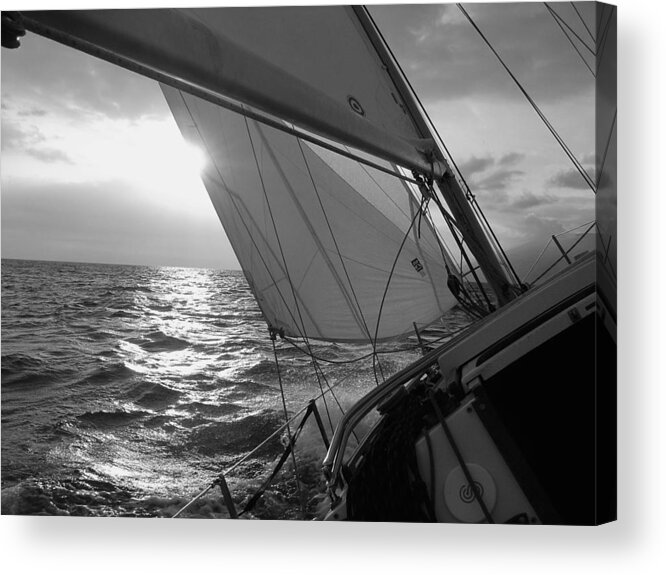 Coquette Acrylic Print featuring the photograph Coquette Sailing by Dustin K Ryan