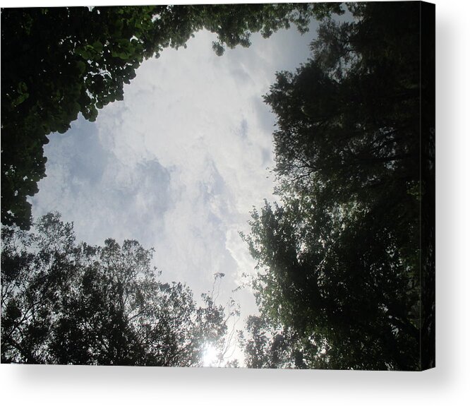 Sky Acrylic Print featuring the photograph Cotton-like Sky by Anamarija Marinovic