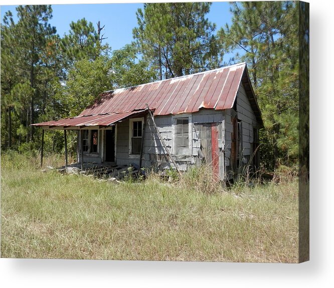 #dilapidated #country Home In Need Of #demolition Acrylic Print featuring the photograph Country Living Gone To The Dawgs by Belinda Lee