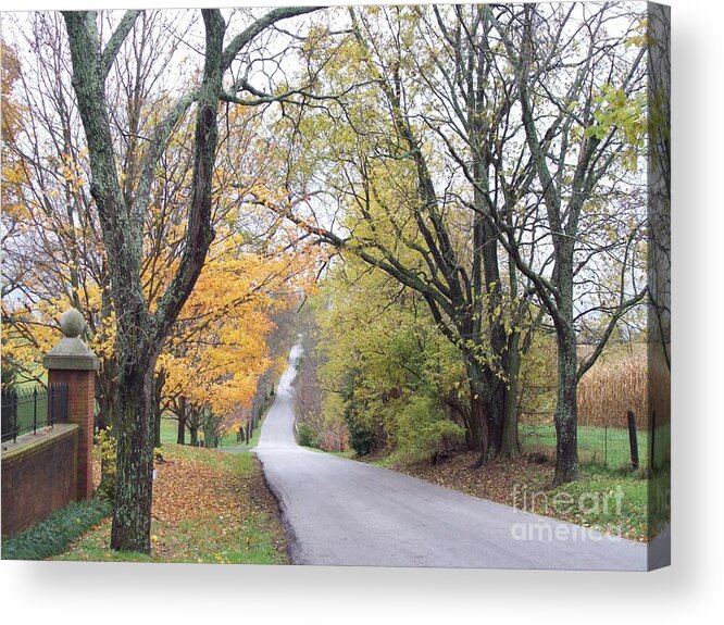 Landscape Acrylic Print featuring the photograph Country Road Through Autumn by Carol Riddle