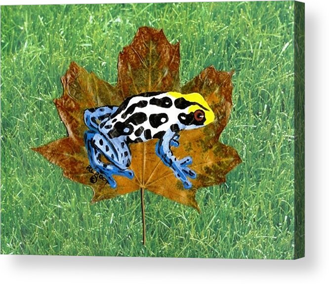 Wildlife Acrylic Print featuring the painting Dart Poison Frog by Ralph Root