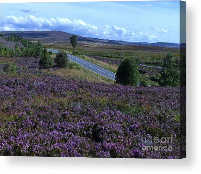 Dava Moor Acrylic Print featuring the photograph Dava Moor, Moray, Scotland by Phil Banks