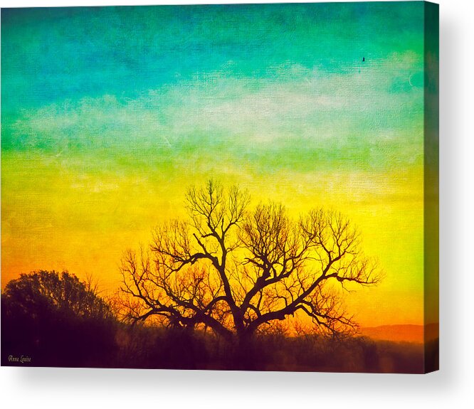 Dawn Acrylic Print featuring the photograph Dawn Magnitude by Anna Louise