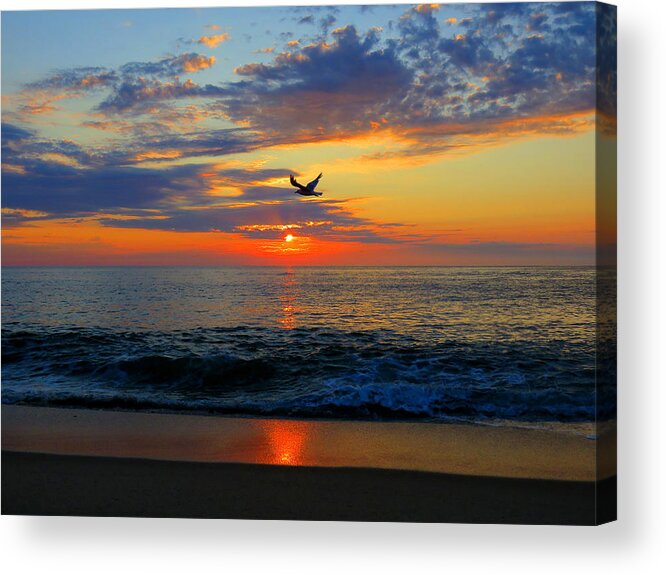 Sea Acrylic Print featuring the photograph Dawning Flight by Dianne Cowen Cape Cod Photography
