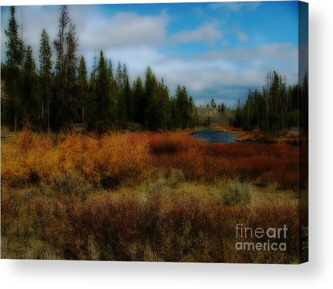 Acrylic Print featuring the photograph Daydream by Katie LaSalle-Lowery