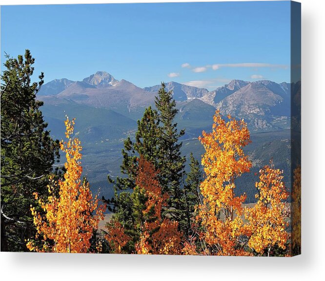 Deer Mountain Acrylic Print featuring the photograph Deer Mountain Autumn by Connor Beekman