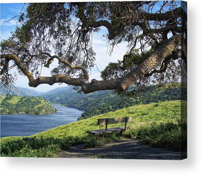 California Acrylic Print featuring the photograph Del Valle Reservoir by Donna Blackhall