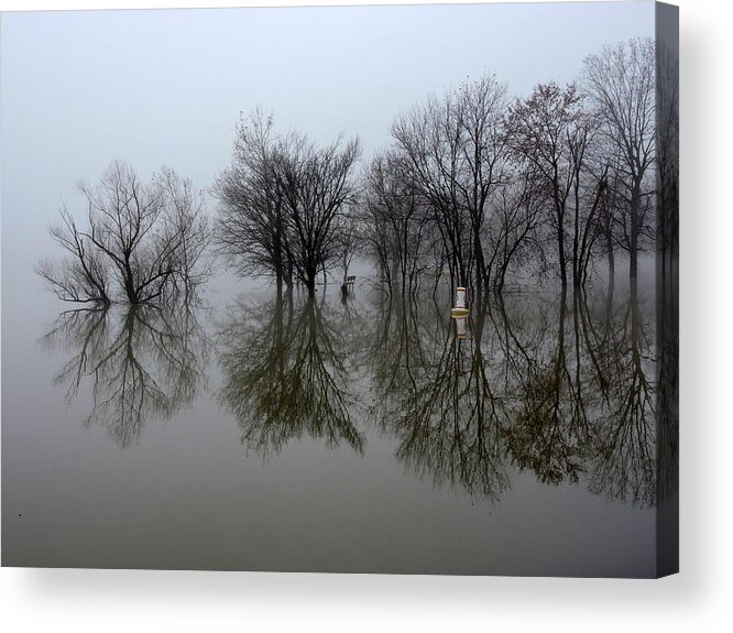 Fog Acrylic Print featuring the photograph Dense Fog by Delana Epperson