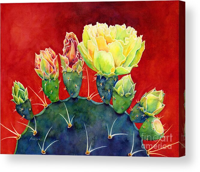 Cactus Acrylic Print featuring the painting Desert Bloom 3 by Hailey E Herrera