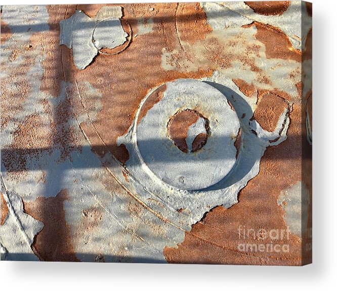 Disc Acrylic Print featuring the photograph Disc by Flavia Westerwelle
