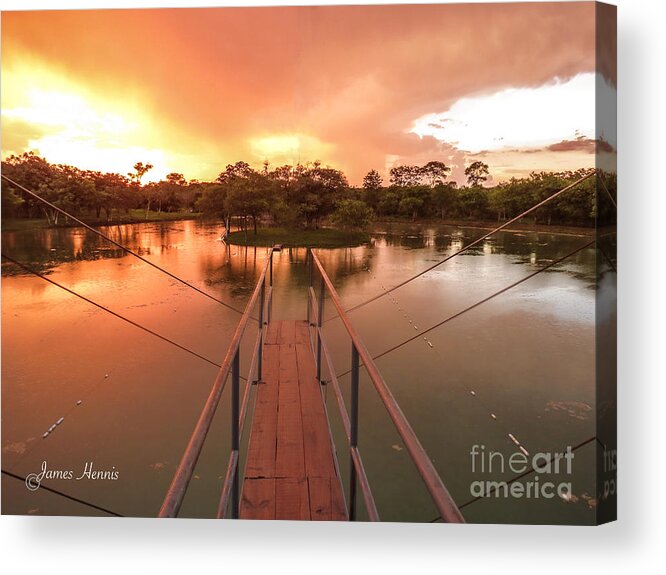 Lake Acrylic Print featuring the photograph Dive In by Metaphor Photo