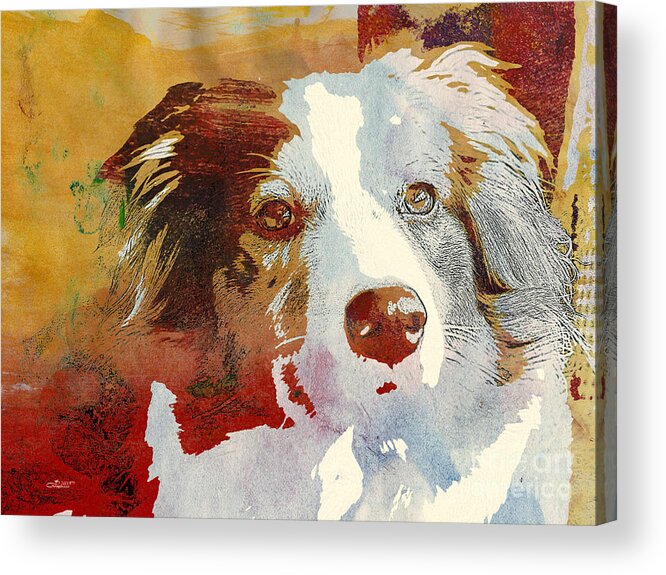 Photo Acrylic Print featuring the photograph Dog Portrait by Jutta Maria Pusl