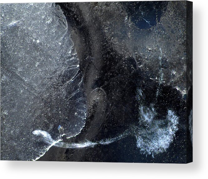 Ice; Cold; Freeze; Bird; Frozen; Print; Water; Winter; Wing; Frozen; Blue; Black; Surreal; Surrealism; Fantasy; Bubble Acrylic Print featuring the photograph Dove and Ice by Adam Long