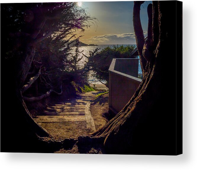 Monterey Acrylic Print featuring the photograph Down to the Beach by Derek Dean