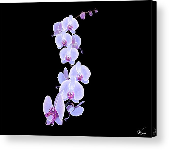 Flower Acrylic Print featuring the digital art Dragon Orchid by Norman Klein