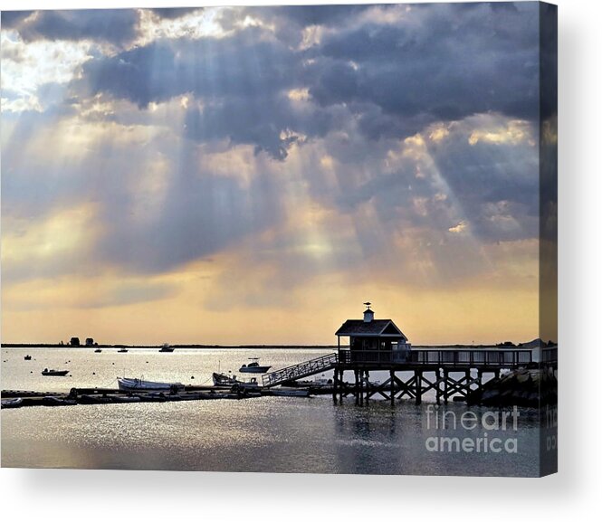 Sunshine Acrylic Print featuring the photograph Dramatic by Janice Drew