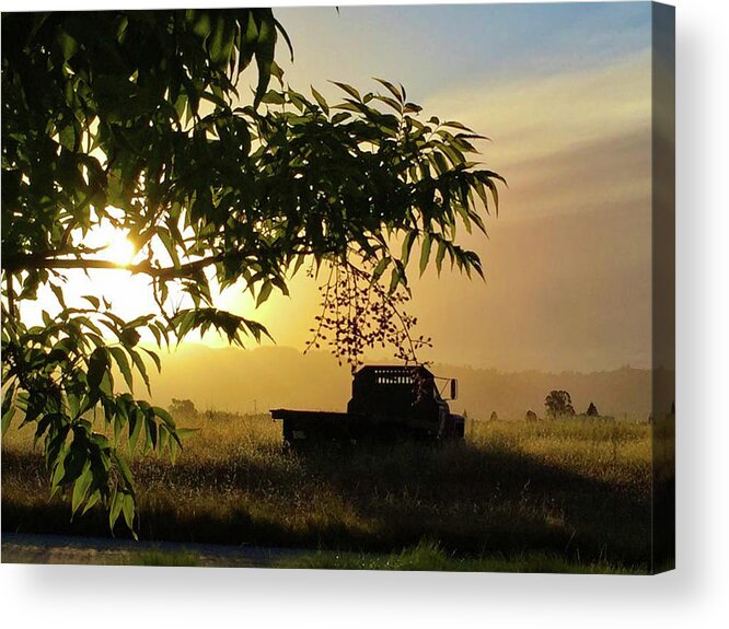 Sunrise Acrylic Print featuring the photograph Early Morning in Watsonville by Lora Lee Chapman
