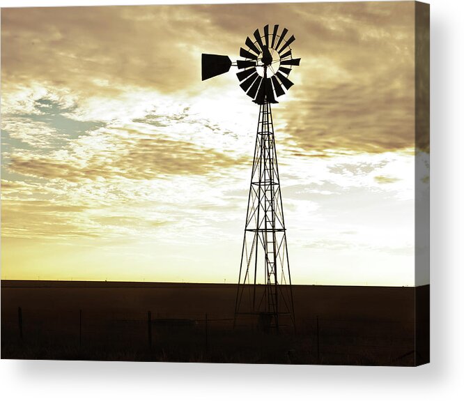 Agriculture Acrylic Print featuring the photograph Early Morning Stalwart by Scott Cordell