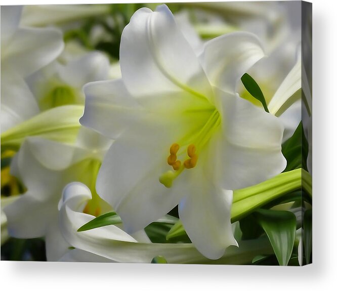 Christian Acrylic Print featuring the photograph Easter Lilies Re-Imagined by David T Wilkinson