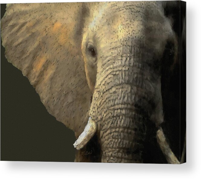 Elephant Acrylic Print featuring the pastel Elephant Portrait by Kathie Miller