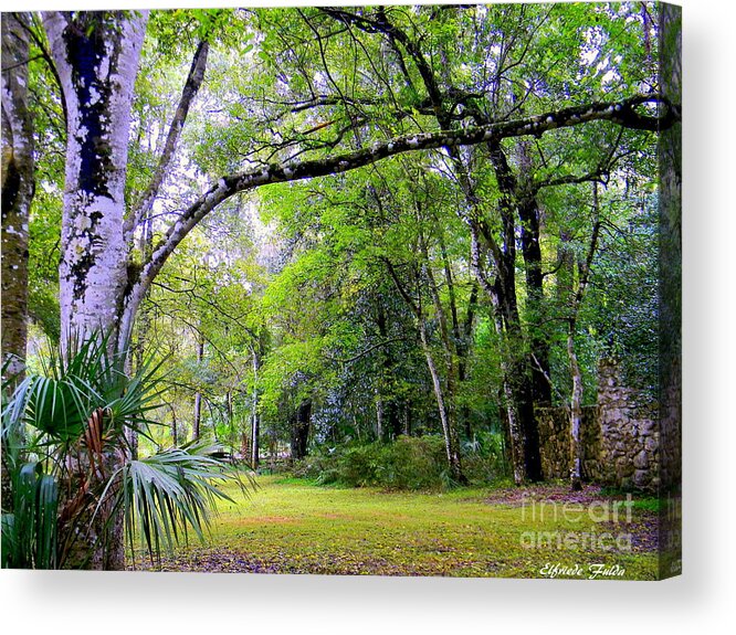 Florida Acrylic Print featuring the photograph Enchanted by Elfriede Fulda